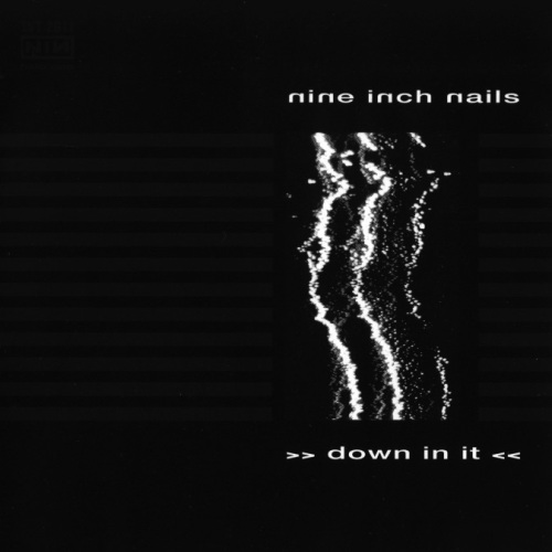 Nine Inch Nails - Down In It (Singe)